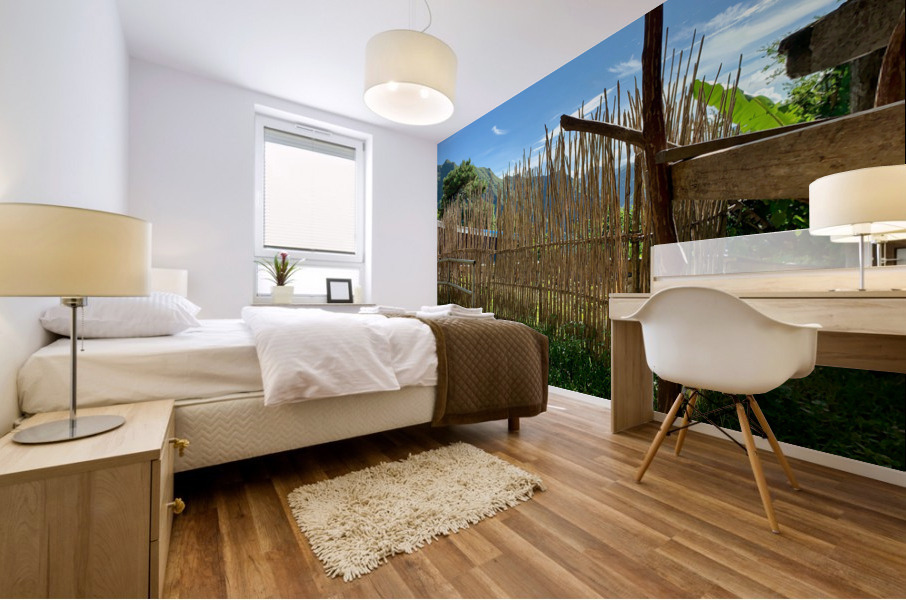 Sun Through the Bamboo Fence Mural print