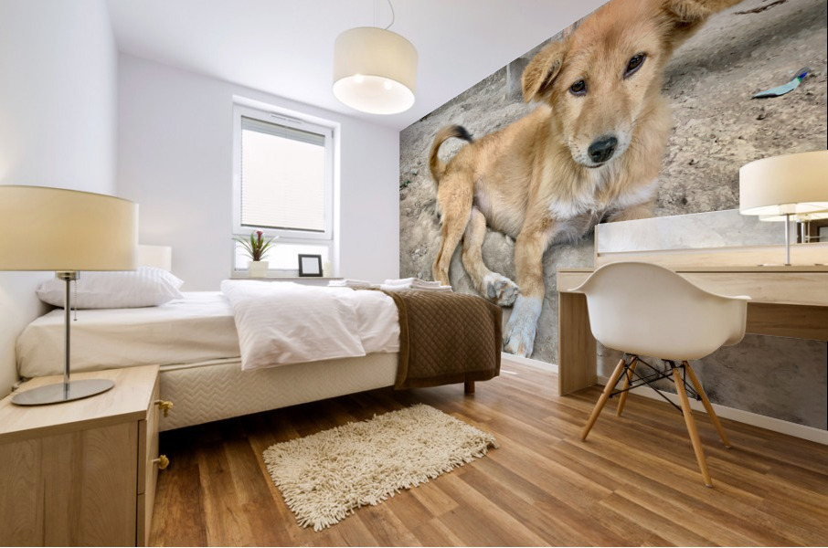 Cute Puppy Mural print