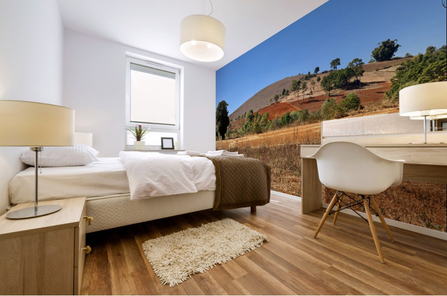 Earth Tones Hill Mural print