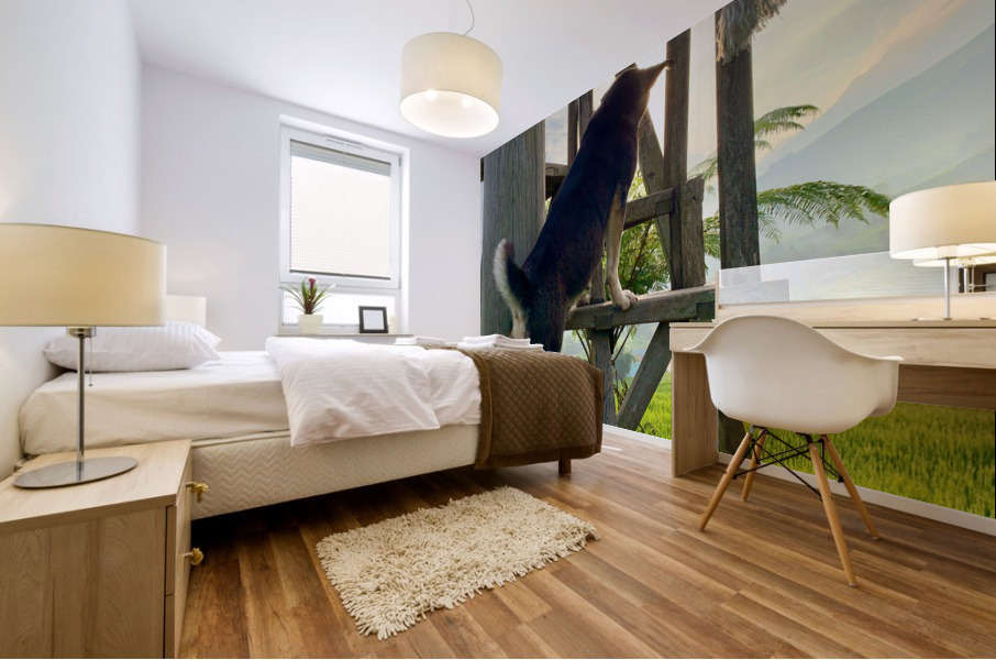 Dog Watching the Sunset Mural print