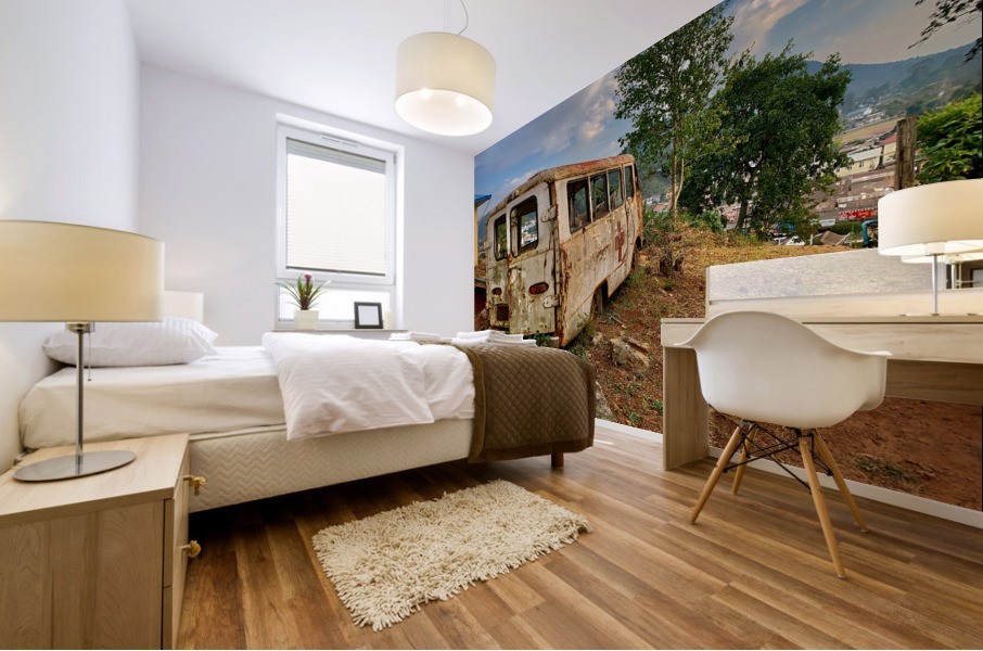 It Used to Be an Ambulance Mural print