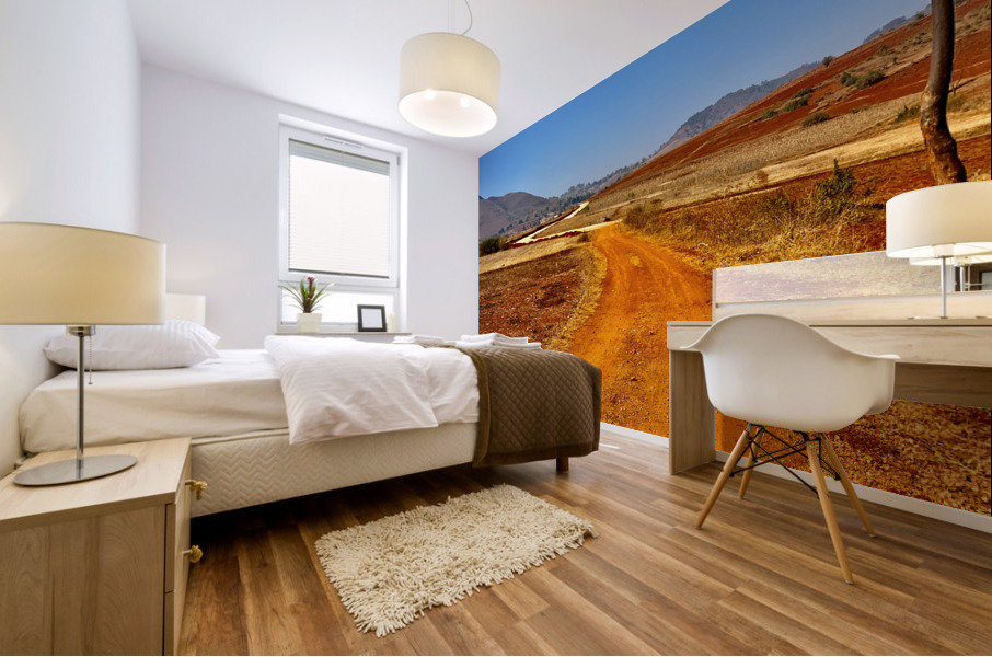 Red Earth Road Mural print