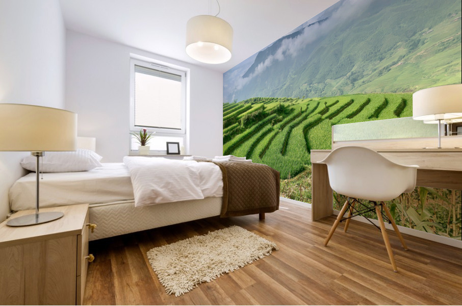 Rice Fields Going Down Mural print