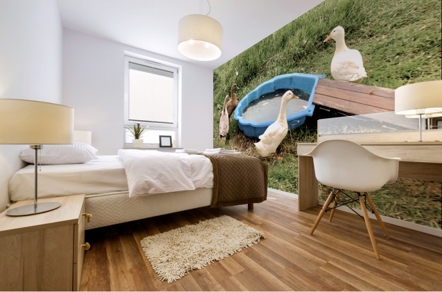 Ducks Plastic Pool Mural print