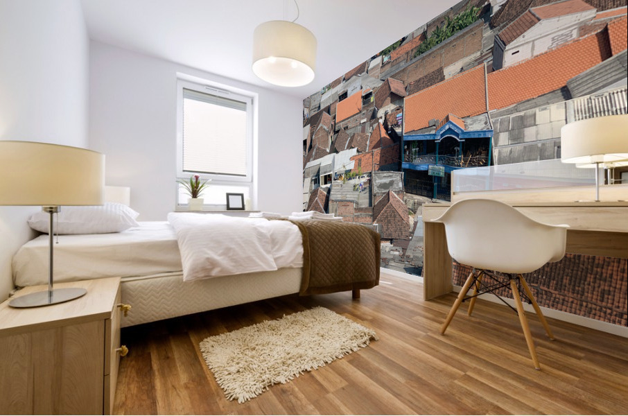 All the Roofs Mural print