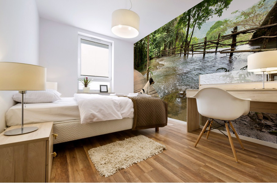 Dog Looking at the Horizon Mural print