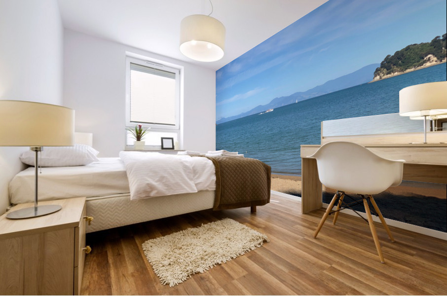 Fast Boat From the Beach Mural print