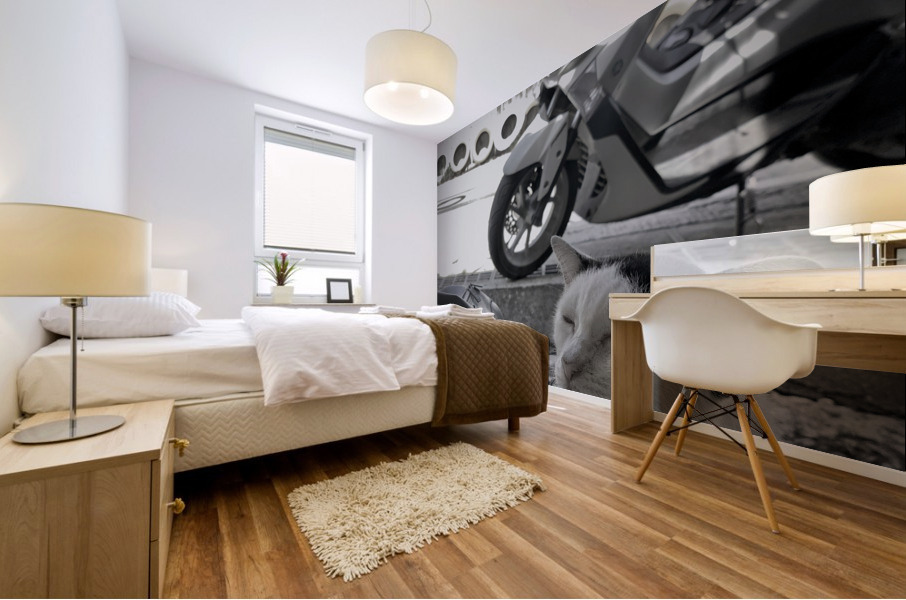 I Closed my Eyes Again   Cat Mural print