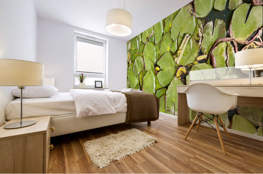 Water Lilies Mural print