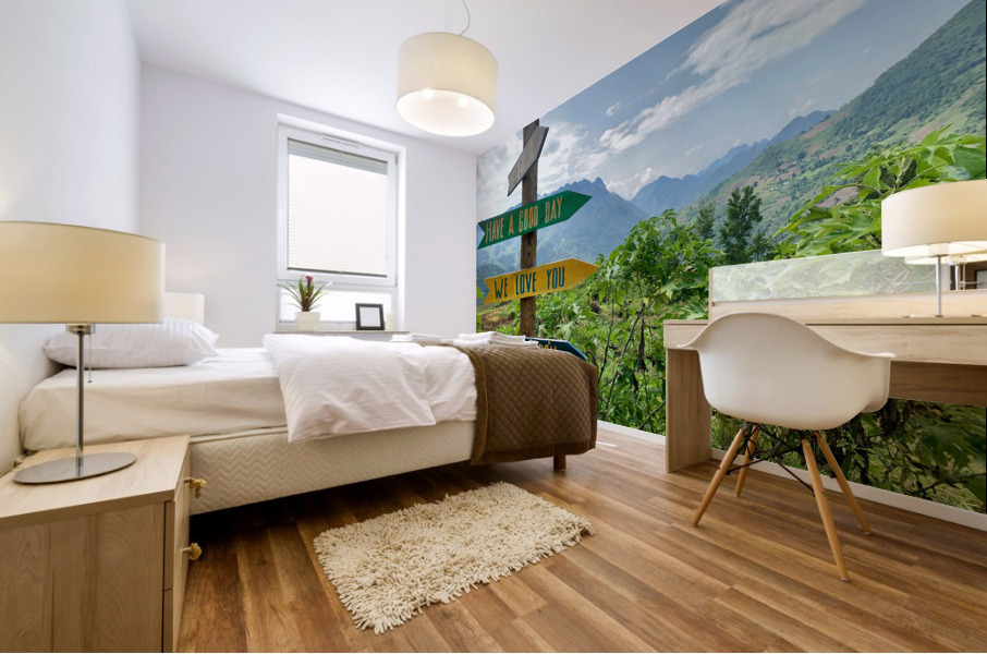 Which Way To Go Mural print