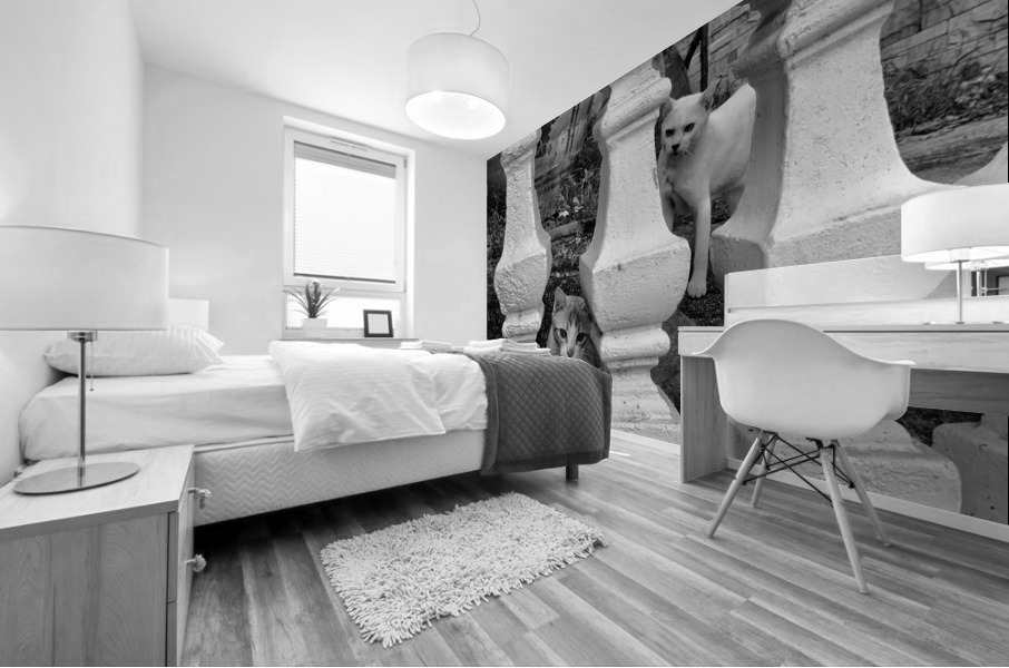 BW Cats Peaking Through Mural print