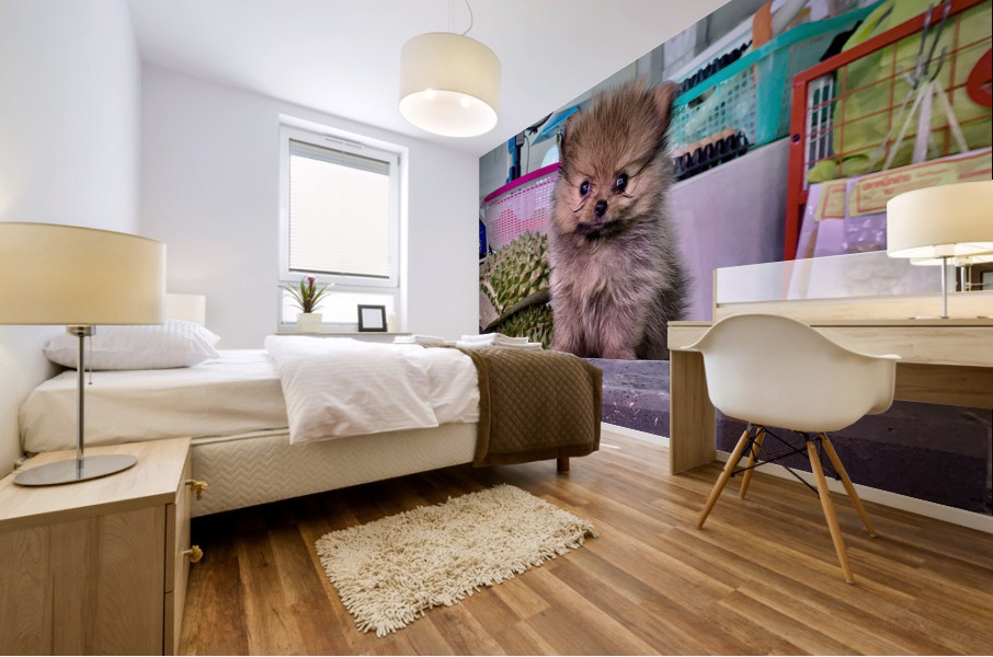 Furry Puppy Mural print