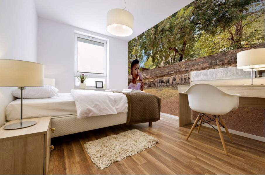 Myanmar Boy Eating a Frozen Candy Bar Mural print