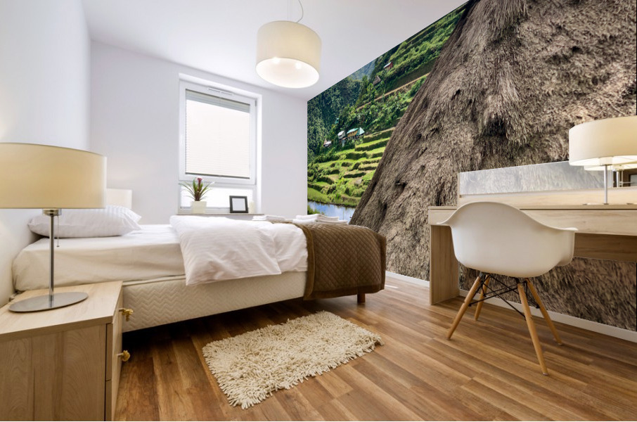 Rice Valley behind the Roof Mural print