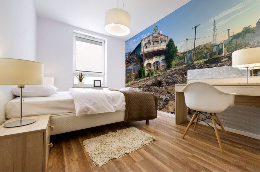 Nice Building in Construction Zone Mural print