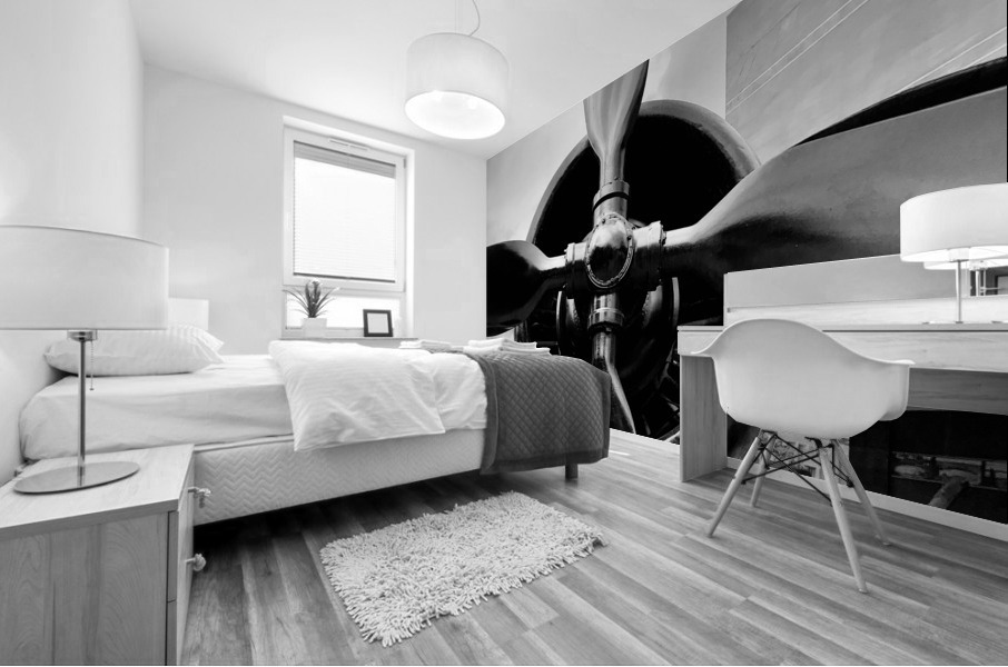 BW Propellers Mural print