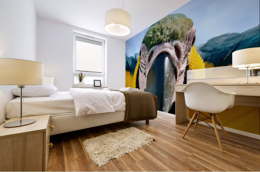 Macaws Close up Mural print