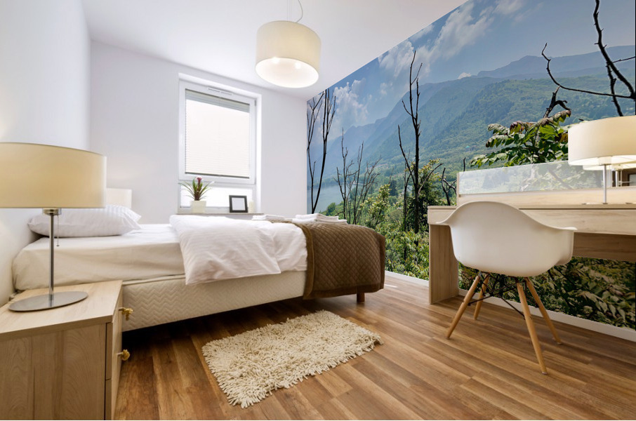 Mountains Behind the Branches Mural print