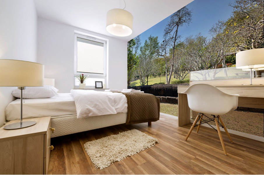 Half Wall Protection Impression murale