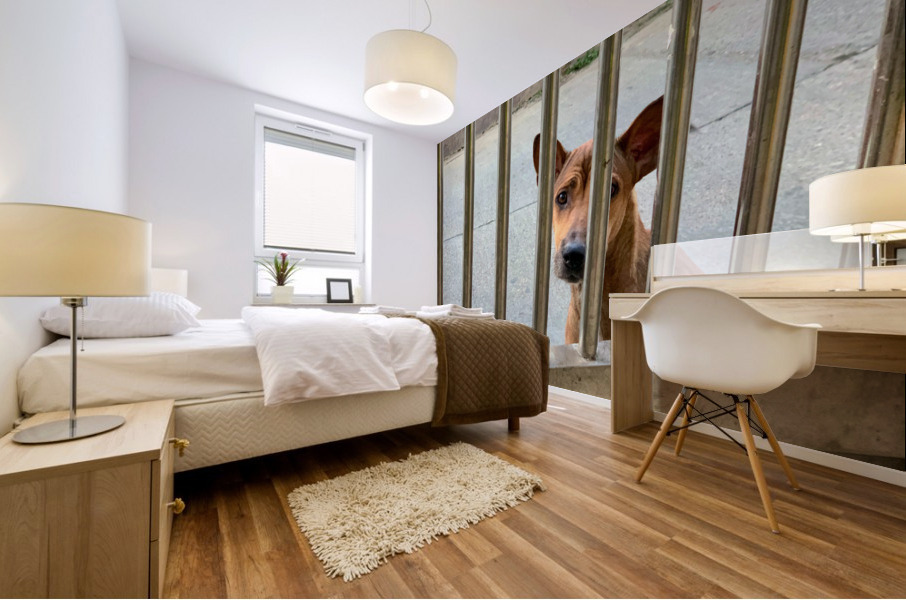 Sad Dog Behind Bars Mural print