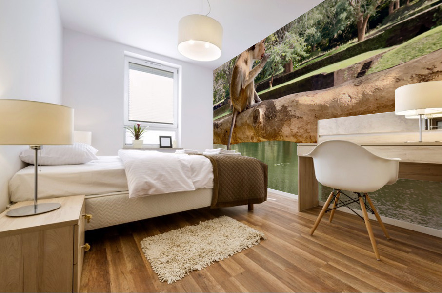 Monkey on a Branch Mural print