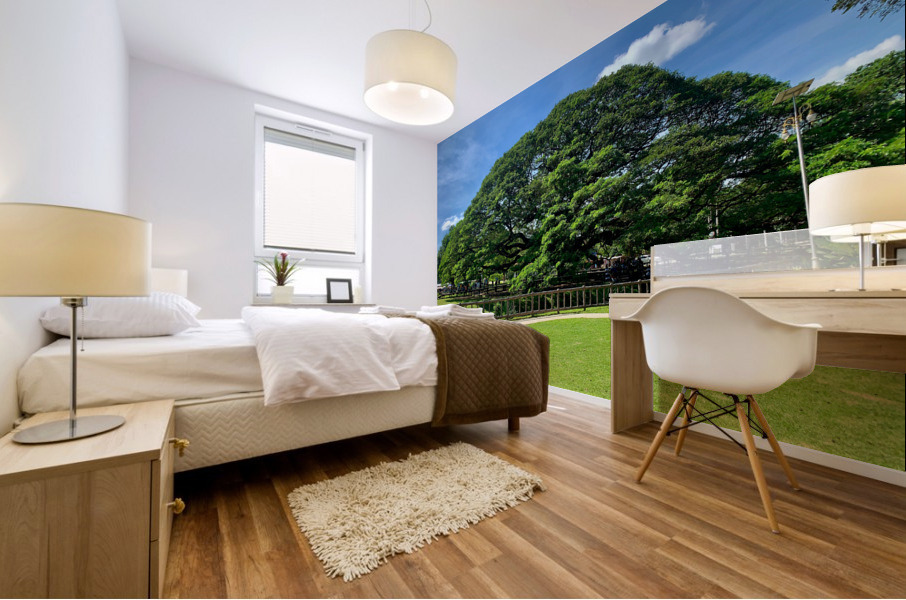 Giant Raintree 2 Mural print