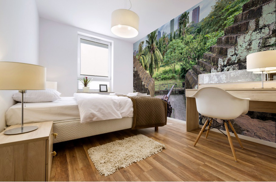 A Cannon in the City Mural print