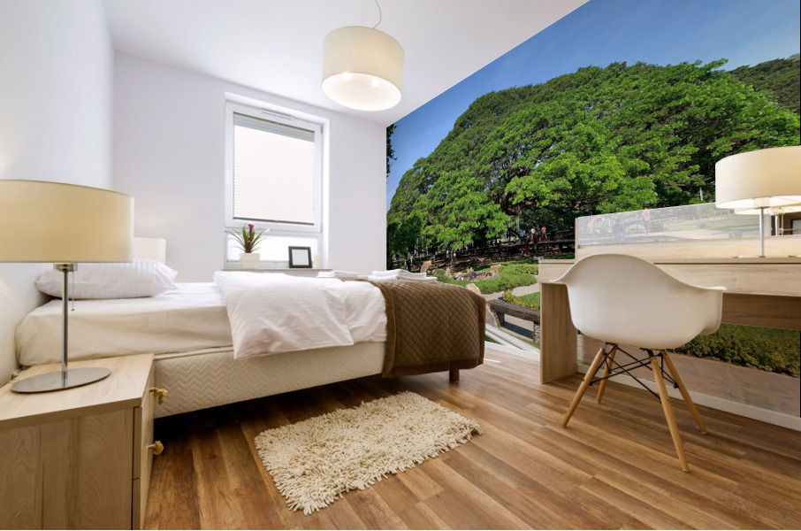 Giant Raintree 1 Mural print