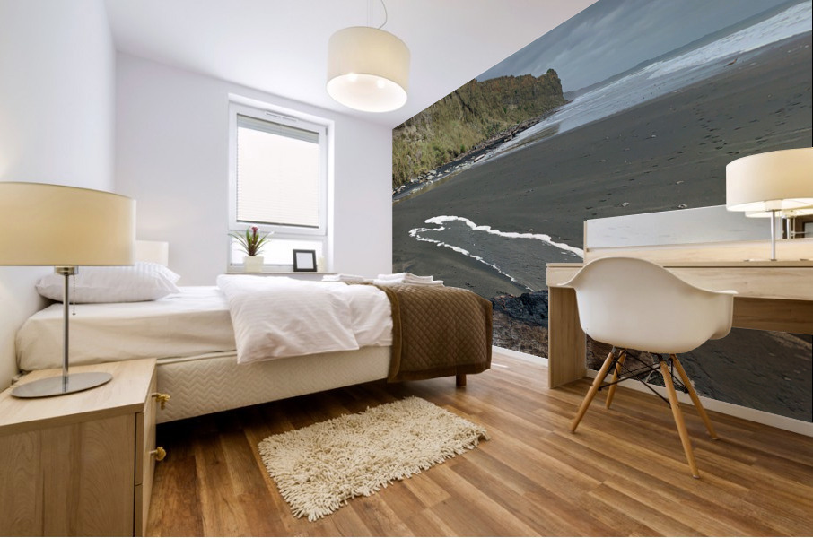 Nice Log on Black Sand Mural print