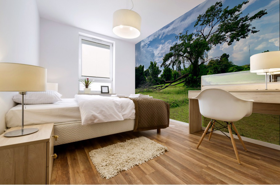 Life  and Death Mural print