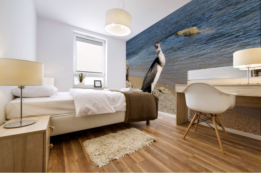 Angry Bird Impression murale