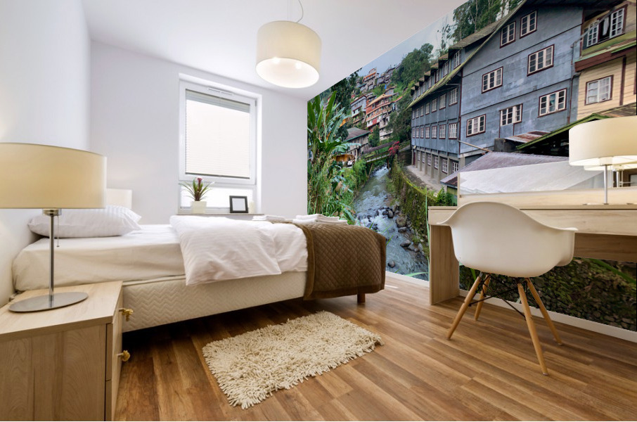 Blue House by the River 2 Mural print