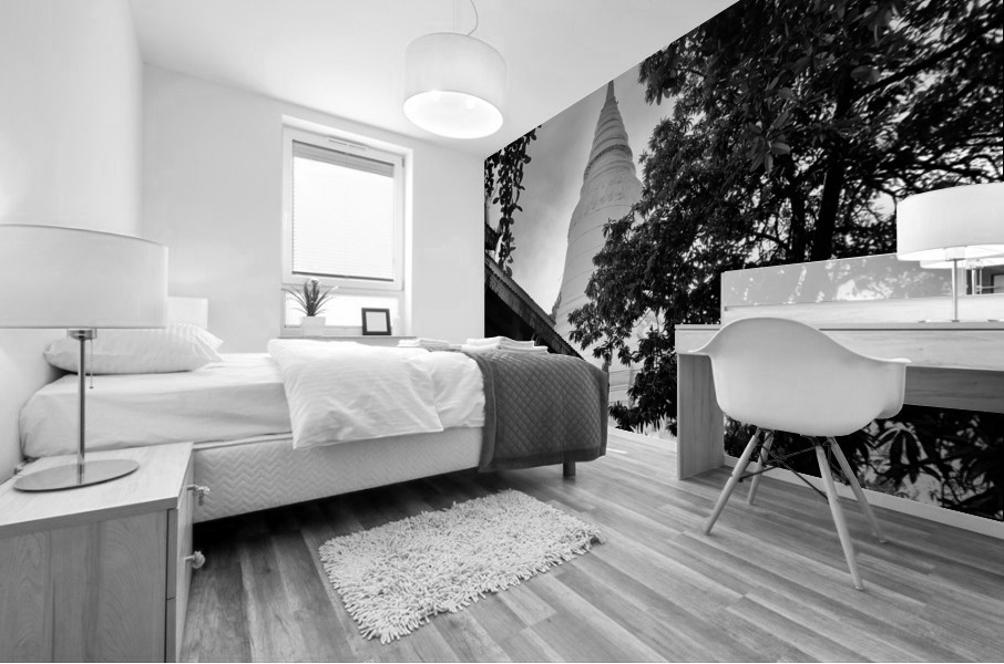 BW Monk  Stupa Impression murale