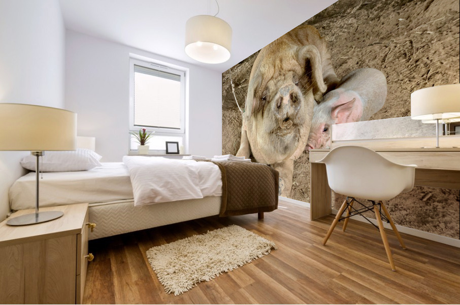 Hello Piggy Mural print