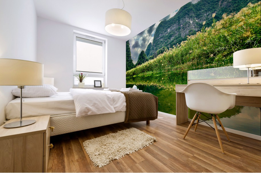 Ninh Binh Reflections Vietnam 1 Mural print