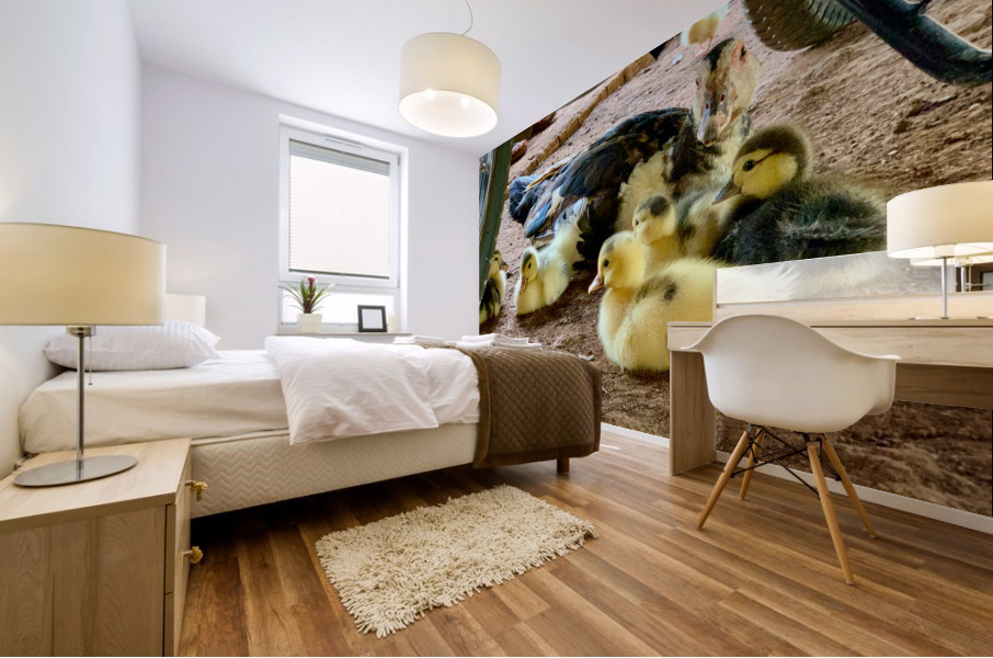 The Duck Family Mural print