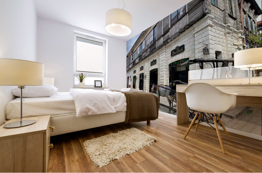 Horse Around Vigan Philippines 2 Mural print