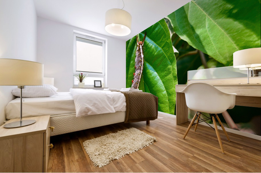 Caterpillar on a Leaf Mural print