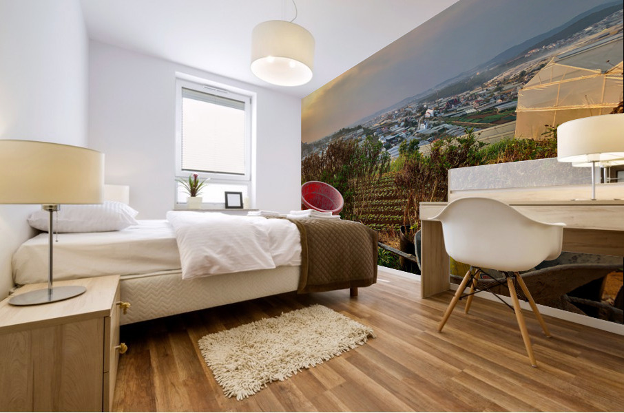 Gardening Equipment for Sunset Mural print