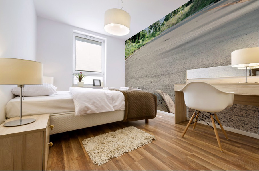 Coconut Shadow Mural print