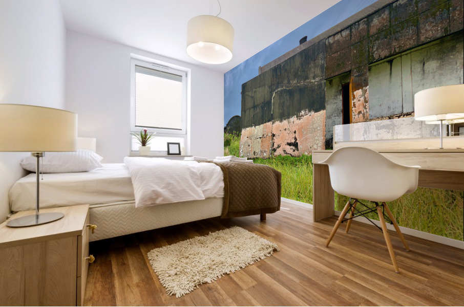 Abandoned Building in Bokor Cambodia Mural print