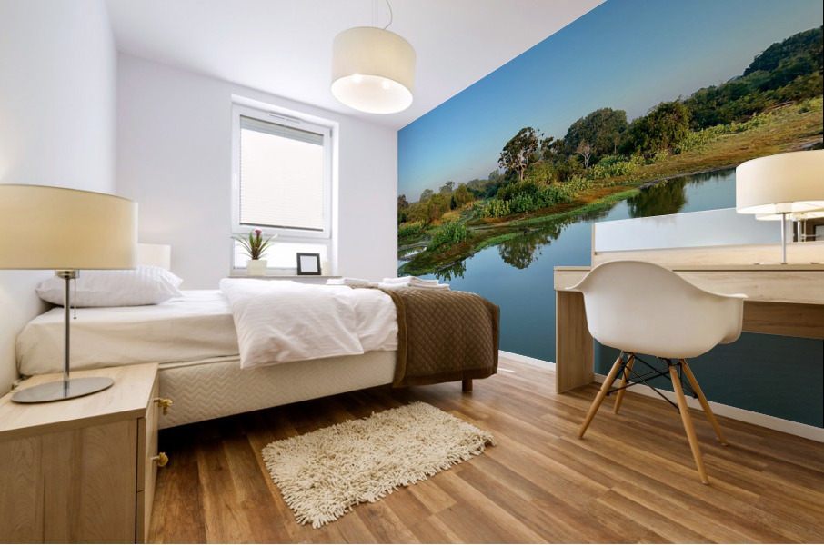 Beatiful Reflection Over Calm Water Mural print