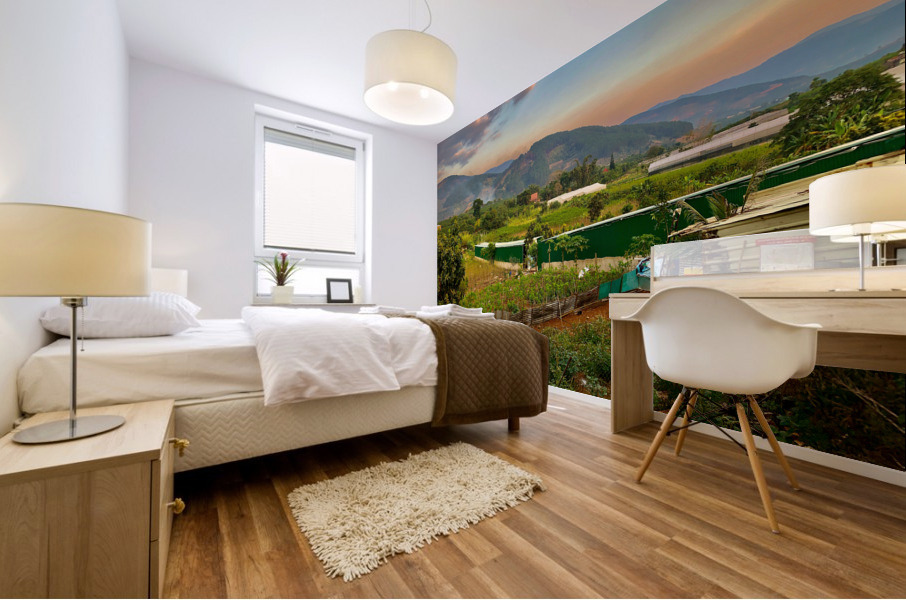 Gardens Mountains  Sunset Mural print