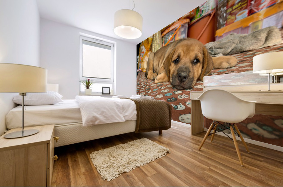 Sleepy Puppy Mural print