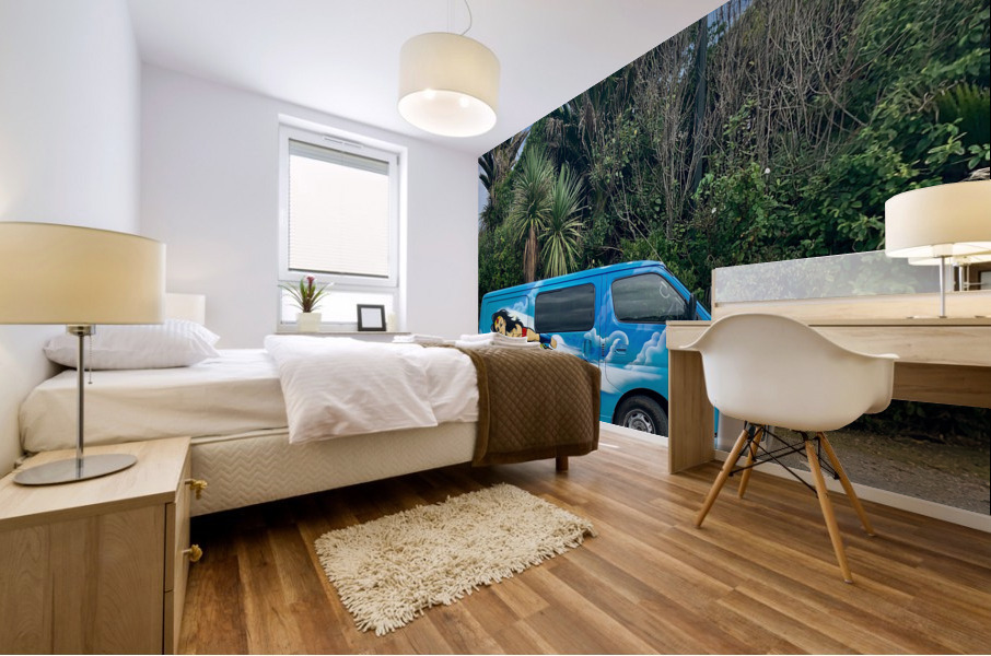 Superwoman Van Mural print