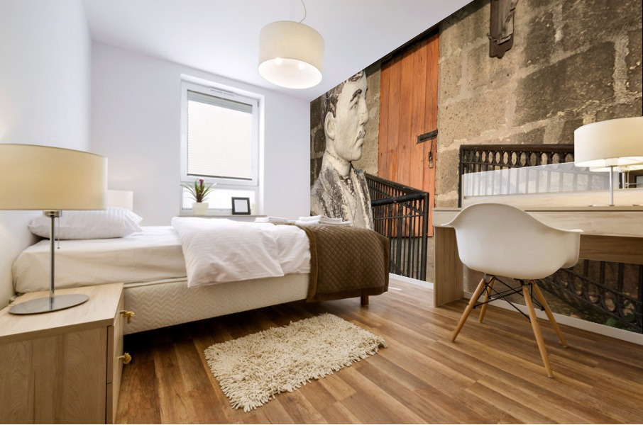 Busted Door Mural print