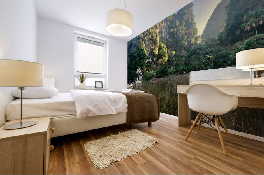 Bich Dong Pagoda Tam Coc Vietnam 1 Mural print