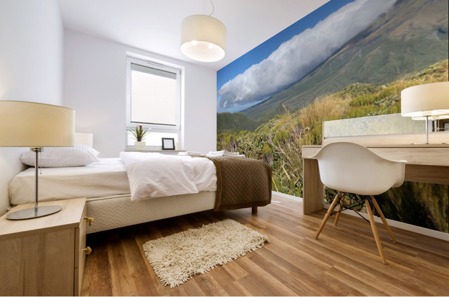 Mount Taranaki New Zealand 3 Mural print