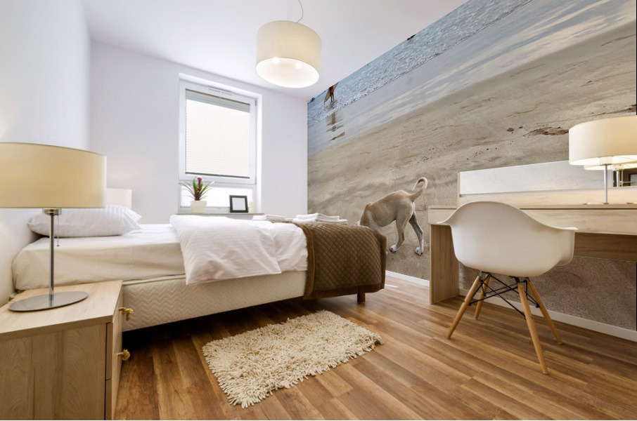 Puppy Walking on the Beach Mural print