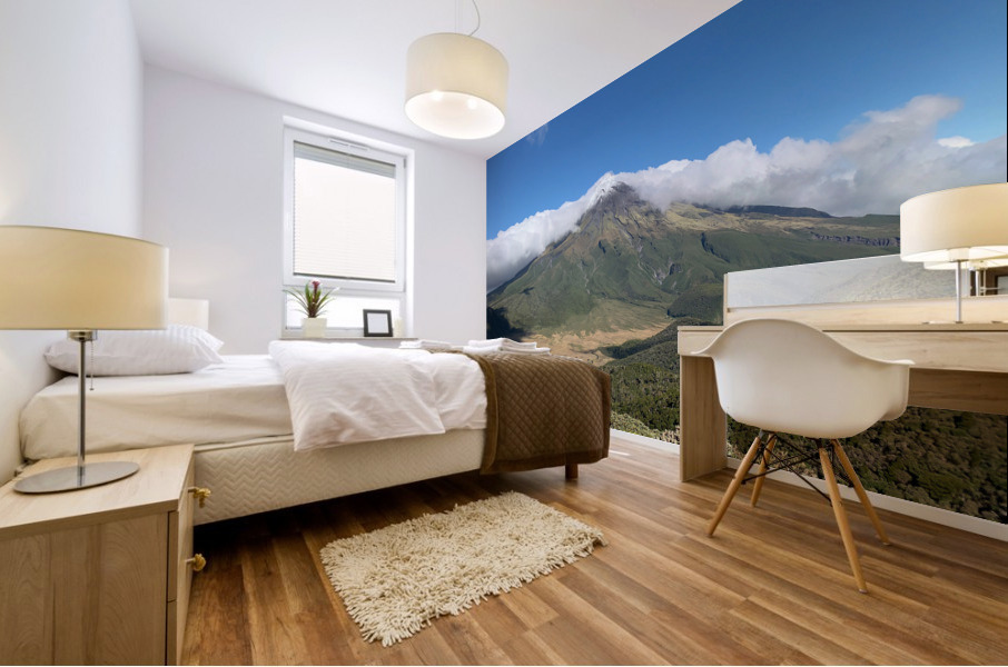 Mount Taranaki New Zealand 1 Mural print